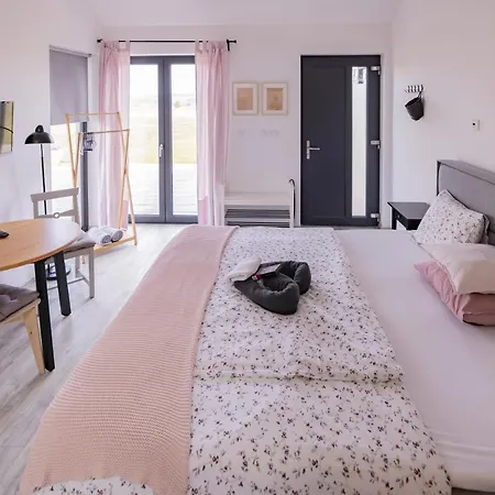 Apartment Babyky